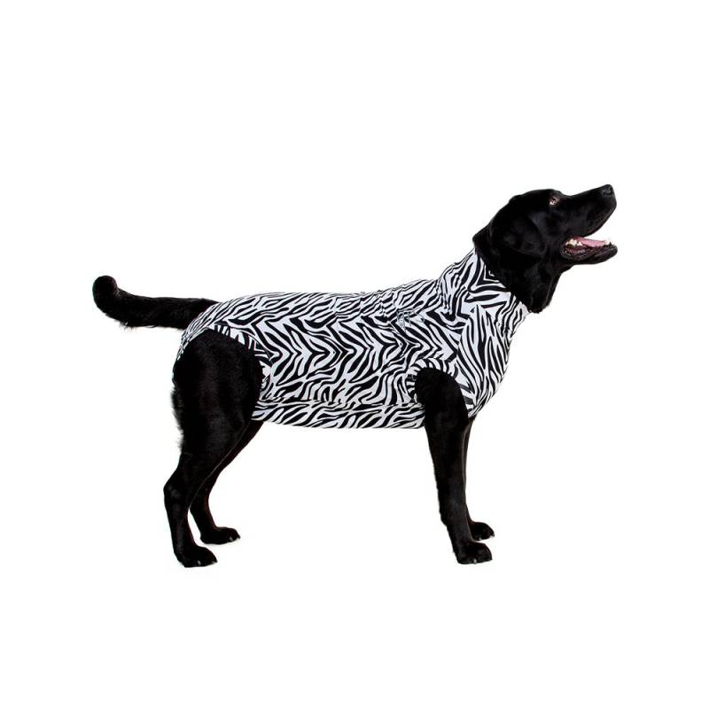 Medical Pet Shirt Hund Zebra-Muster - L von Medical Pet Shirt