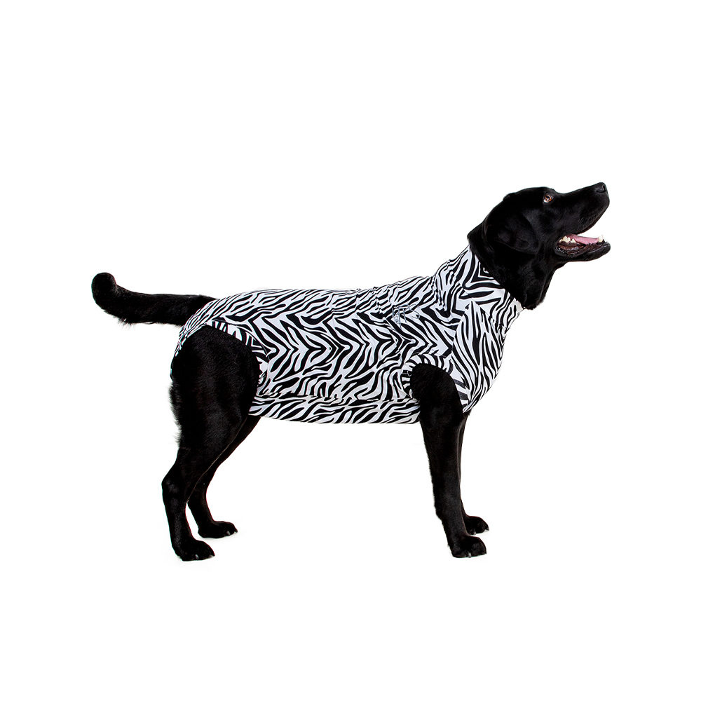 Medical Pet Shirt Hund Zebra-Muster - S Plus von Medical Pet Shirt