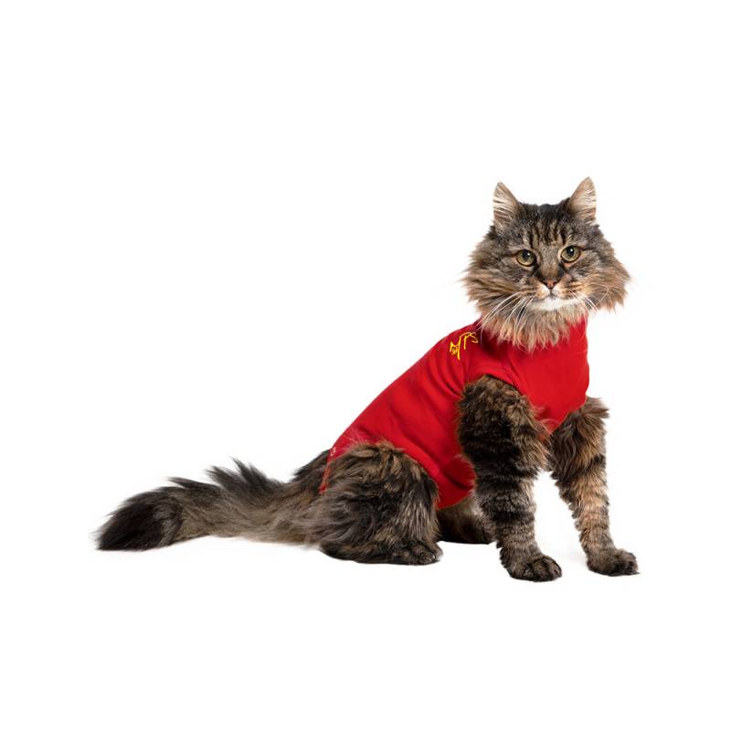 Medical Pet Shirt Katze - Rot - XXS von Medical Pet Shirt