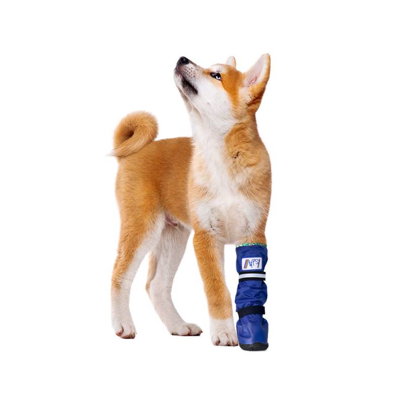 Medical Pet Shirt Boot - XL von Medical Pet Shirt