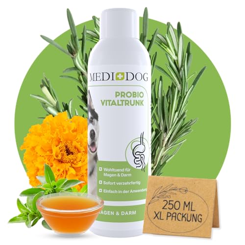 MEDIDOG Probio Vitaltrunk – 250 ml – für Hunde – mit Kräutern & Mikroorganismen für eine gesunde Darmflora von MEDIDOG