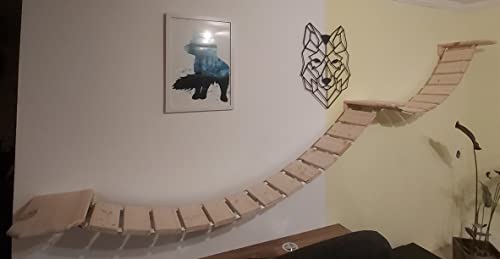 MediKratz Wandpark für Main Coon, Catwalk, Kletterwand, Katzenwand, Trittstufen (50+75cm, Abgeflammt) von Medikratz