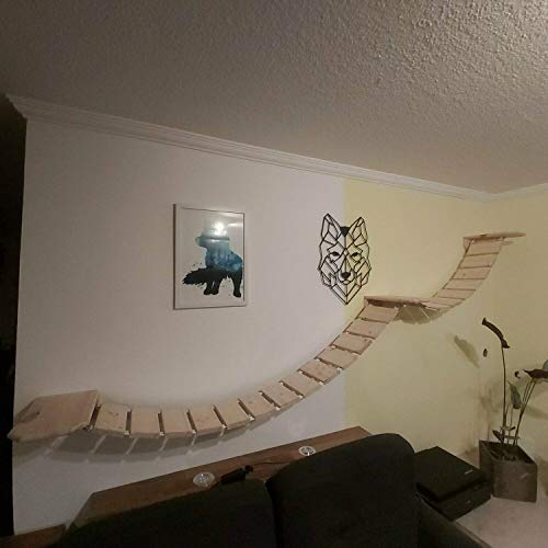 Medikratz Komplett-Set Katzen Kletterwand; Große Katzen Hängebrücke mit Wandpodesten auch für große Katzen geeignet (150cm + 150cm, Abgeflammt) von Medikratz