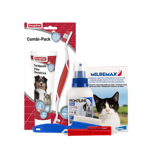 Medpets Kitten-Paket - 0,5 bis 1 kg Medpets Kitten-Paket - 0,5 bis 1 kg von Medpets