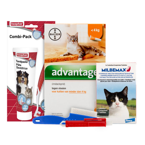 Medpets Kitten-Paket - 1 bis 2 kg von Medpets