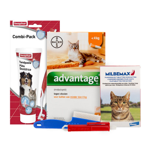 Medpets Kitten-Paket - 2 bis 4 kg von Medpets