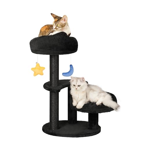 Meecal Kätzchen Kratzbaum für kleine Katzen unter 6 Monaten, 62 cm Wolke Katzenkratzbaum mit Bett & Spielzeug, Max Gewicht 3.6 kg, kompakter Katzenturm mit baumelnden Bällen, Schwarz Meecal Kätzchen Kratzbaum für kleine Katzen unter 6 Monaten, 62 cm Wolke Katzenkratzbaum mit Bett & Spielzeug, Max Gewicht 3.6 kg, kompakter Katzenturm mit baumelnden Bällen, Schwarz von Meecal