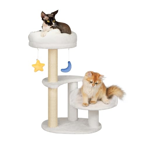 Meecal Kätzchen Kratzbaum für kleine Katzen unter 6 Monaten, 62 cm Wolke Katzenkratzbaum mit Bett & Spielzeug, Max Gewicht 3.6 kg, kompakter Katzenturm mit baumelnden Bällen, Weiß Meecal Kätzchen Kratzbaum für kleine Katzen unter 6 Monaten, 62 cm Wolke Katzenkratzbaum mit Bett & Spielzeug, Max Gewicht 3.6 kg, kompakter Katzenturm mit baumelnden Bällen, Weiß von Meecal
