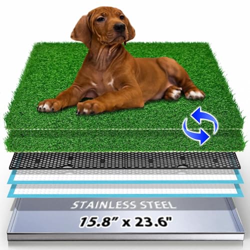 Hundegras-Pad aus Edelstahl mit Tablett, geruchsresistent und leicht zu reinigen, für drinnen und draußen, langlebige Alternative zu Kunststoff-Hundetoilette mit Kunstrasen für Hundetöpfchentraining Hundegras-Pad aus Edelstahl mit Tablett, geruchsresistent und leicht zu reinigen, für drinnen und draußen, langlebige Alternative zu Kunststoff-Hundetoilette mit Kunstrasen für Hundetöpfchentraining von Meegood