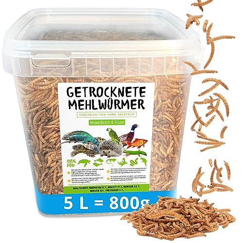 Mehlwürmer getrocknet, 800g (entspricht 5 L) getrocknete Mehlwürmer im praktischen Eimer, proteinreicher Snack für Wildvögel, Fische, Reptilien und Nager von MeerBach & Rose