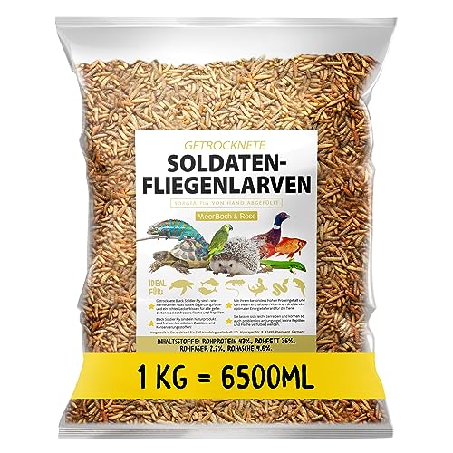 Soldatenfliegenlarven getrocknet 1kg (entspricht 6,5 Litern), Black Soldier Flys, Vogelfutter, Igelfutter mit Insekten, Fischfutter, proteinreicher Snack für Reptilien und Schildkröten von MeerBach & Rose