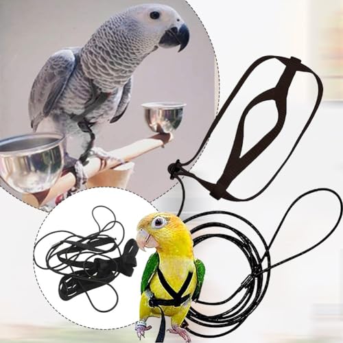 Papageiengeschirr aus strapazierfähigem Nylon, leichtes Westendesign, verstellbare Schnallen, Größe S von MeevrgR