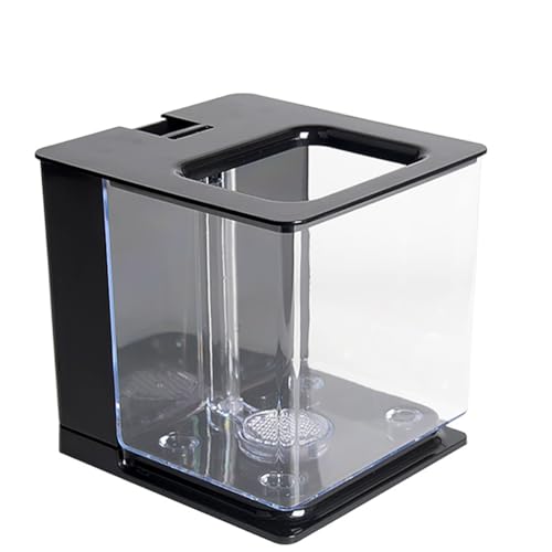 MegLob Acrylaquarium, Plexiglas-Schwerkraft Selbstverpackter Fischtank, Kleiner Desktop-Acryl-Betta-Fischtank, Mini-Tischtisch-Aquarium/Fischschale, Kein Wasserwechsel Für Büro, Wohnzimmer,Grün von MegLob