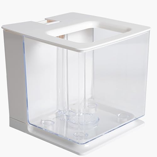 MegLob Acrylaquarium, Plexiglas-Schwerkraft Selbstverpackter Fischtank, Kleiner Desktop-Acryl-Betta-Fischtank, Mini-Tischtisch-Aquarium/Fischschale, Kein Wasserwechsel Für Büro, Wohnzimmer,Weiß von MegLob