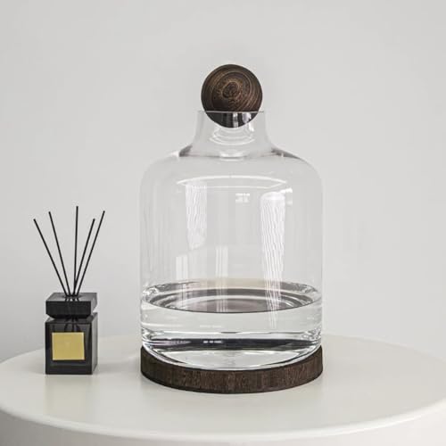 MegLob Aquaponics Fischtank, Glas Betta Fischtank Mit Holzbasis, Aquaponic Pflanzer Und Aquarium Für Betta Fisch, Innengarten -Ökosystem Aquarium, Clear Glass Betta Fischschale,Curved XL MegLob Aquaponics Fischtank, Glas Betta Fischtank Mit Holzbasis, Aquaponic Pflanzer Und Aquarium Für Betta Fisch, Innengarten -Ökosystem Aquarium, Clear Glass Betta Fischschale,Curved XL von MegLob