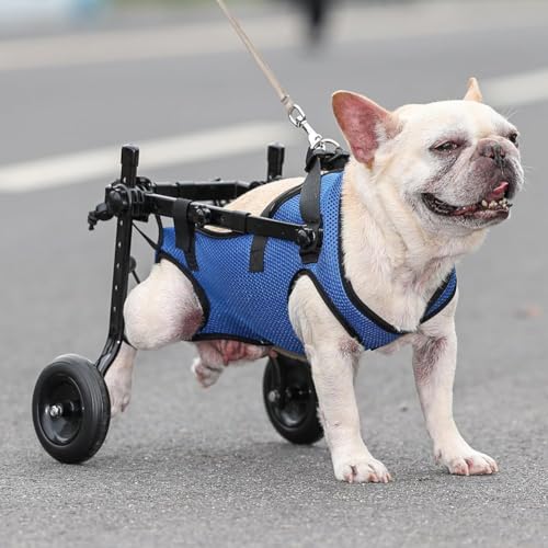 MegLob Behinderte Hundenkeln, Hilfsträger Für Ältere Hunde, Hilfskarren Für Hunde Mit Begrenzter Mobilität, Haustier -Hundetoller,M von MegLob