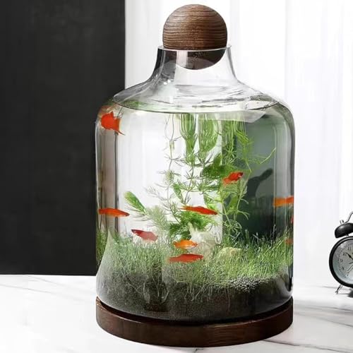 MegLob Betta-Fisch-Aquarium, Modernes, Elegantes Betta-Fischbecken, Glas-Fischbecken Mit Holzsockel, Kleines Fischbecken Für Goldfische, Ultraklares Glas-Betta-Fischbecken,XL MegLob Betta-Fisch-Aquarium, Modernes, Elegantes Betta-Fischbecken, Glas-Fischbecken Mit Holzsockel, Kleines Fischbecken Für Goldfische, Ultraklares Glas-Betta-Fischbecken,XL von MegLob