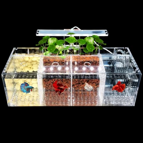 MegLob Desktop -Acrylaquarium, Professioneller Betta -Fischtank, Kleiner Goldfischtank Mit LED -Licht Und Fütterungsloch, Modernes Batta -Fischtank -Kit Mit Wasserpumpe, Clear Betta Fischschale,B von MegLob