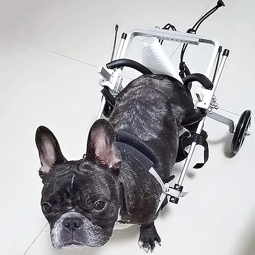 MegLob Einstellbarer Hundewagen, Assistierender Rollstuhlwagen Mit Heckbeinunterstützung Für Die Rehabilitation, Geeignet Für Hunde Mit Begrenzter Mobilität,L von MegLob