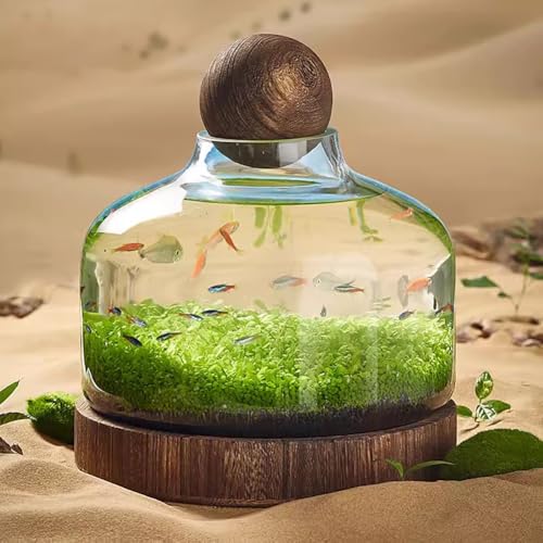 MegLob Fischaquarium Aus Holz, Glasfischbehälter Mit Holzsockel, Blumenvase Aus Glas Zur Dekoration des Hauses, Eleganter Glasfischbehälter Für Kampffische, Mikro-Landschaftsfischaquarium,L MegLob Fischaquarium Aus Holz, Glasfischbehälter Mit Holzsockel, Blumenvase Aus Glas Zur Dekoration des Hauses, Eleganter Glasfischbehälter Für Kampffische, Mikro-Landschaftsfischaquarium,L von MegLob