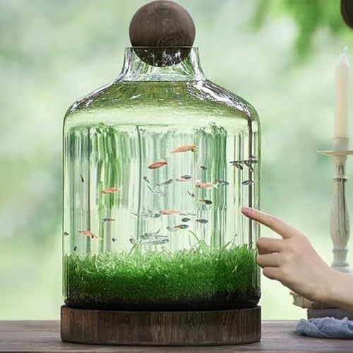 MegLob Fischaquarium Aus Holz, Glasfischbehälter Mit Holzsockel, Blumenvase Aus Glas Zur Dekoration des Hauses, Eleganter Glasfischbehälter Für Kampffische, Mikro-Landschaftsfischaquarium,XL MegLob Fischaquarium Aus Holz, Glasfischbehälter Mit Holzsockel, Blumenvase Aus Glas Zur Dekoration des Hauses, Eleganter Glasfischbehälter Für Kampffische, Mikro-Landschaftsfischaquarium,XL von MegLob