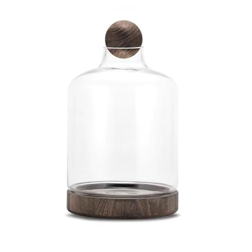 MegLob Fischschale Mit Holzbasis, Glas Betta Fischtank Für Fisch & Pflanzen, Offene Glasfischschale Für Goldfische Und Betta Fisch, 2 in 1 Fischtank, HD Float Glas Kleine Fischschale,Dark XL MegLob Fischschale Mit Holzbasis, Glas Betta Fischtank Für Fisch & Pflanzen, Offene Glasfischschale Für Goldfische Und Betta Fisch, 2 in 1 Fischtank, HD Float Glas Kleine Fischschale,Dark XL von MegLob