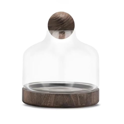 MegLob Fischschale Mit Holzbasis, Glas Betta Fischtank Für Fisch & Pflanzen, Offene Glasfischschale Für Goldfische Und Betta Fisch, 2 in 1 Fischtank, HD Float Glas Kleine Fischschale,Dark l MegLob Fischschale Mit Holzbasis, Glas Betta Fischtank Für Fisch & Pflanzen, Offene Glasfischschale Für Goldfische Und Betta Fisch, 2 in 1 Fischtank, HD Float Glas Kleine Fischschale,Dark l von MegLob