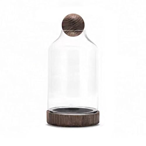 MegLob Fischschale Mit Holzbasis, Glas Betta Fischtank Für Fisch & Pflanzen, Offene Glasfischschale Für Goldfische Und Betta Fisch, 2 in 1 Fischtank, HD Float Glas Kleine Fischschale,Dark m MegLob Fischschale Mit Holzbasis, Glas Betta Fischtank Für Fisch & Pflanzen, Offene Glasfischschale Für Goldfische Und Betta Fisch, 2 in 1 Fischtank, HD Float Glas Kleine Fischschale,Dark m von MegLob