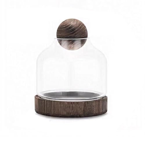 MegLob Fischschale Mit Holzbasis, Glas Betta Fischtank Für Fisch & Pflanzen, Offene Glasfischschale Für Goldfische Und Betta Fisch, 2 in 1 Fischtank, HD Float Glas Kleine Fischschale,Dark s MegLob Fischschale Mit Holzbasis, Glas Betta Fischtank Für Fisch & Pflanzen, Offene Glasfischschale Für Goldfische Und Betta Fisch, 2 in 1 Fischtank, HD Float Glas Kleine Fischschale,Dark s von MegLob