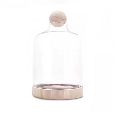 MegLob Fischschale Mit Holzbasis, Glas Betta Fischtank Für Fisch & Pflanzen, Offene Glasfischschale Für Goldfische Und Betta Fisch, 2 in 1 Fischtank, HD Float Glas Kleine Fischschale,Light XL MegLob Fischschale Mit Holzbasis, Glas Betta Fischtank Für Fisch & Pflanzen, Offene Glasfischschale Für Goldfische Und Betta Fisch, 2 in 1 Fischtank, HD Float Glas Kleine Fischschale,Light XL von MegLob