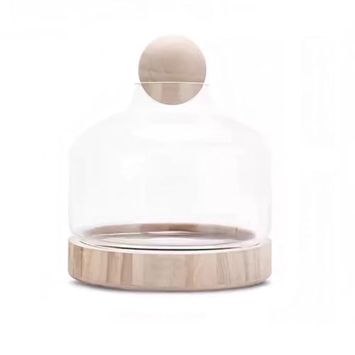 MegLob Fischschale Mit Holzbasis, Glas Betta Fischtank Für Fisch & Pflanzen, Offene Glasfischschale Für Goldfische Und Betta Fisch, 2 in 1 Fischtank, HD Float Glas Kleine Fischschale,Light l MegLob Fischschale Mit Holzbasis, Glas Betta Fischtank Für Fisch & Pflanzen, Offene Glasfischschale Für Goldfische Und Betta Fisch, 2 in 1 Fischtank, HD Float Glas Kleine Fischschale,Light l von MegLob