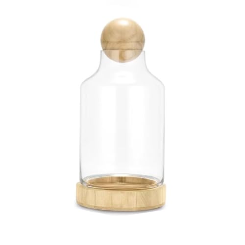 MegLob Fischschale Mit Holzbasis, Glas Betta Fischtank Für Fisch & Pflanzen, Offene Glasfischschale Für Goldfische Und Betta Fisch, 2 in 1 Fischtank, HD Float Glas Kleine Fischschale,Light m MegLob Fischschale Mit Holzbasis, Glas Betta Fischtank Für Fisch & Pflanzen, Offene Glasfischschale Für Goldfische Und Betta Fisch, 2 in 1 Fischtank, HD Float Glas Kleine Fischschale,Light m von MegLob