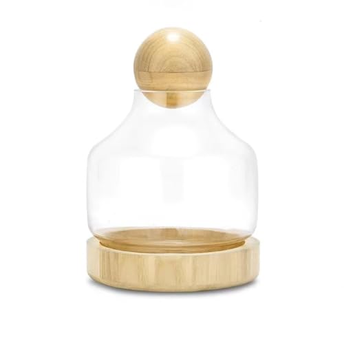 MegLob Fischschale Mit Holzbasis, Glas Betta Fischtank Für Fisch & Pflanzen, Offene Glasfischschale Für Goldfische Und Betta Fisch, 2 in 1 Fischtank, HD Float Glas Kleine Fischschale,Light s MegLob Fischschale Mit Holzbasis, Glas Betta Fischtank Für Fisch & Pflanzen, Offene Glasfischschale Für Goldfische Und Betta Fisch, 2 in 1 Fischtank, HD Float Glas Kleine Fischschale,Light s von MegLob