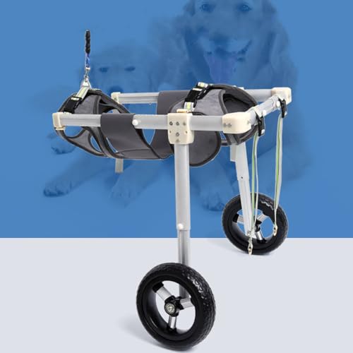 MegLob Hinterbein -Hund Rollstuhl, Verstellbare Höhe Heckstütze Rollstuhl, Haustier -Rehabilitation Rollstuhl, Geeignet Für Erwachsene Hunde Geeignet,XL von MegLob