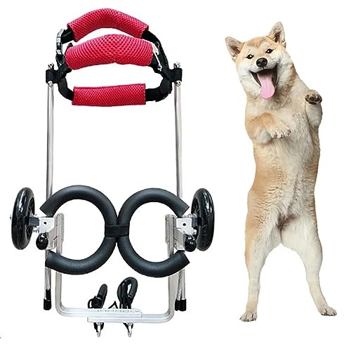 MegLob Hunde Hinterbein Rollstuhl, Kleiner Rehabilitationshundwagen Mit Rädern, Beinrehabilitation Haustier -Wanderwerkzeug, Geeignet Für Behinderte Und Ältere Hunde,XXS von MegLob