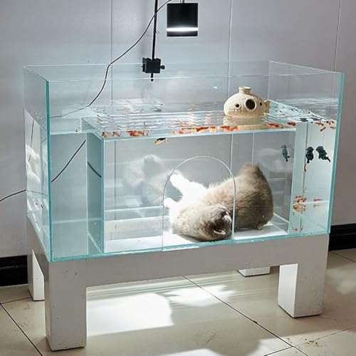 MegLob Katzenbett-Aquarium Mit Massivholzsockel, Großes Katzenhöhlenaquarium Aus Glas, Multifunktionales Eck-Katzenhaus-Aquarium, Deluxe-Aquarium Für Depressive Katzen MegLob Katzenbett-Aquarium Mit Massivholzsockel, Großes Katzenhöhlenaquarium Aus Glas, Multifunktionales Eck-Katzenhaus-Aquarium, Deluxe-Aquarium Für Depressive Katzen von MegLob