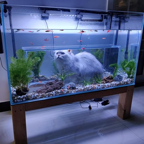 MegLob Luxus-Katzenspielzeug-Aquarium, Bodenstehende Katzenunterhaltungsfischtank, Rechteckige 2 in 1 Aquarium Für Fisch & Katze, Mit Maser Holzbasis, Haustier-Hausausstattung von MegLob