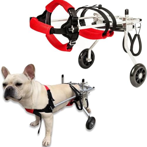 MegLob Pet -Rollstuhl, Mobilitätsroller Für Kleine Hunde Mit Lähmungslähmung Im Hintergraden, Einstellbare Behinderung Von Haustieren Für Rehabilitationstraining,L von MegLob