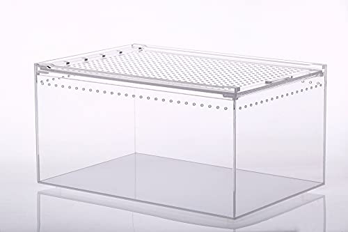 MegLob Reptilien -Fütterungsbox, Acryl -Reptilien -Terrarium, Amphibien -Fütterungsbox, Transparentes HD -Reptilien -Habitat -Tank, Klares Gehäuse Für Insekten, Schnecken, Gecko, Tarantel,XL von MegLob