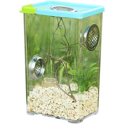 MegLob Reptilienwachstumspanzer, Reptilien -Terrarium -Vivarium Für Kleine Insekten, Reptilien -Fütterungsbox Für Sprungspinne, Skorpion, Mantis, Klettern Aus Haustierbehälter,L von MegLob