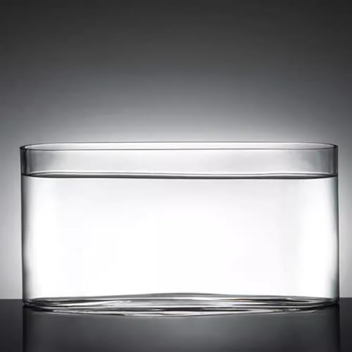 MegLob Schmaler Glasaquarium, Desktop Mini Transparent Betta Fischtank, Moderner Klarer Betta -Fischtank, Offener Glas Tischtisch Fischschale, Kleiner Rechteckiger Fischtank,L von MegLob