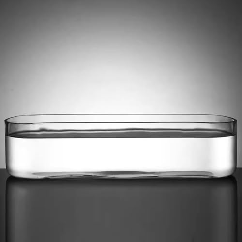 MegLob Schmaler Glasaquarium, Desktop Mini Transparent Betta Fischtank, Moderner Klarer Betta -Fischtank, Offener Glas Tischtisch Fischschale, Kleiner Rechteckiger Fischtank,M MegLob Schmaler Glasaquarium, Desktop Mini Transparent Betta Fischtank, Moderner Klarer Betta -Fischtank, Offener Glas Tischtisch Fischschale, Kleiner Rechteckiger Fischtank,M von MegLob