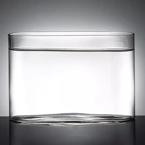 MegLob Schmaler Glasaquarium, Desktop Mini Transparent Betta Fischtank, Moderner Klarer Betta -Fischtank, Offener Glas Tischtisch Fischschale, Kleiner Rechteckiger Fischtank,XL von MegLob