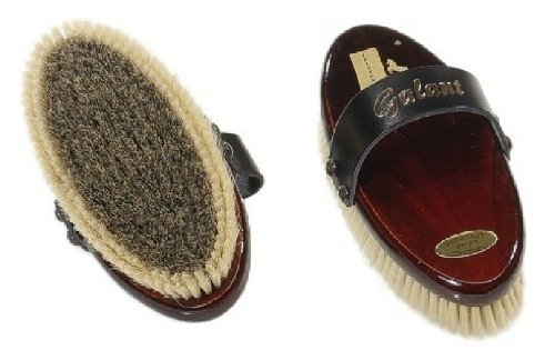 Kardätsche Galant von William Leistner