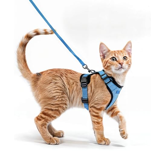 Komfortables Katzengeschirr mit Leine - Atmungsaktives Air Mesh, Geeignet für Halsumfang 21-28 cm, Brustumfang 34-41 cm - Leicht anzulegen und abzunehmen - Perfekt für Spaziergänge mit Ihrer Katze Komfortables Katzengeschirr mit Leine - Atmungsaktives Air Mesh, Geeignet für Halsumfang 21-28 cm, Brustumfang 34-41 cm - Leicht anzulegen und abzunehmen - Perfekt für Spaziergänge mit Ihrer Katze von Meggi