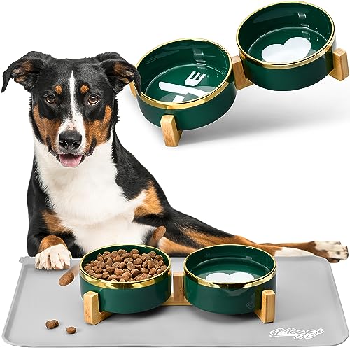 Premium Hundenapf Set aus 2 Keramiknäpfen (400ml) mit Goldrand – Stilvolle Bambus-Halterung & Schutz-Silikonunterlage (30x47cm) – Spülmaschinenfest & Leichte Reinigung (Grün) von Meggi