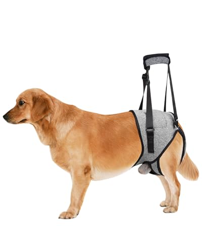 Hundegeschirr zum Heben, Schlinge für kleine mittelgroße Hunde, Rückenbeine, verstellbar, weich gepolstert, Hundestützgeschirr für Rückenbeine für ältere Menschen, Verletzte, Arthritische, behinderte Hundegeschirr zum Heben, Schlinge für kleine mittelgroße Hunde, Rückenbeine, verstellbar, weich gepolstert, Hundestützgeschirr für Rückenbeine für ältere Menschen, Verletzte, Arthritische, behinderte von Mehere