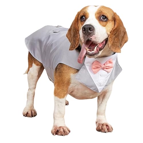 Bandana für Haustiere, Smoking, formelles Hochzeitskostüm mit Schleife, Geburtstagsparty-Outfit für Katzen, Welpen, kleine, mittelgroße und große Hunde, Größe L, Grau Bandana für Haustiere, Smoking, formelles Hochzeitskostüm mit Schleife, Geburtstagsparty-Outfit für Katzen, Welpen, kleine, mittelgroße und große Hunde, Größe L, Grau von MeiAOBest