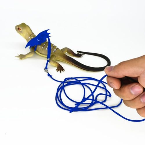 Bartdrachengeschirr, verstellbares Flügel-Eidechsen-Geschirr, Leine-Set, Gecko-Zugseil für Kleintiere, Größe M, Blau Bartdrachengeschirr, verstellbares Flügel-Eidechsen-Geschirr, Leine-Set, Gecko-Zugseil für Kleintiere, Größe M, Blau von MeiAOBest