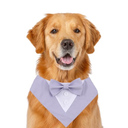 Formelles Hundehalstuch, Haustierhalstuch, Hochzeit, Party, Smoking, Fliege, Dreieckstuch, verstellbares Hunde-Geburtstags-Halsband, Lätzchen, Valentinstag, Fliege, Schal, Größe S (lila) von MeiAOBest